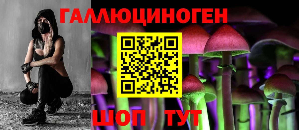 Псилоцибиновые грибы мицелий  Псилоцибиновые грибы ЛСД  Вход с VPN  Чебоксары 