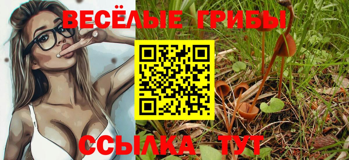 Галлюциногенные грибы Cubensis Чебоксары